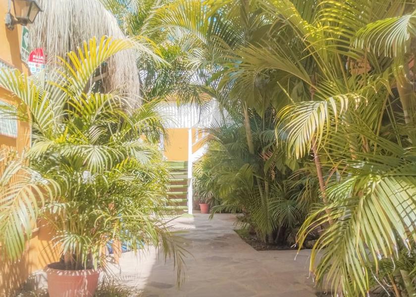 Piura Region Máncora Interior