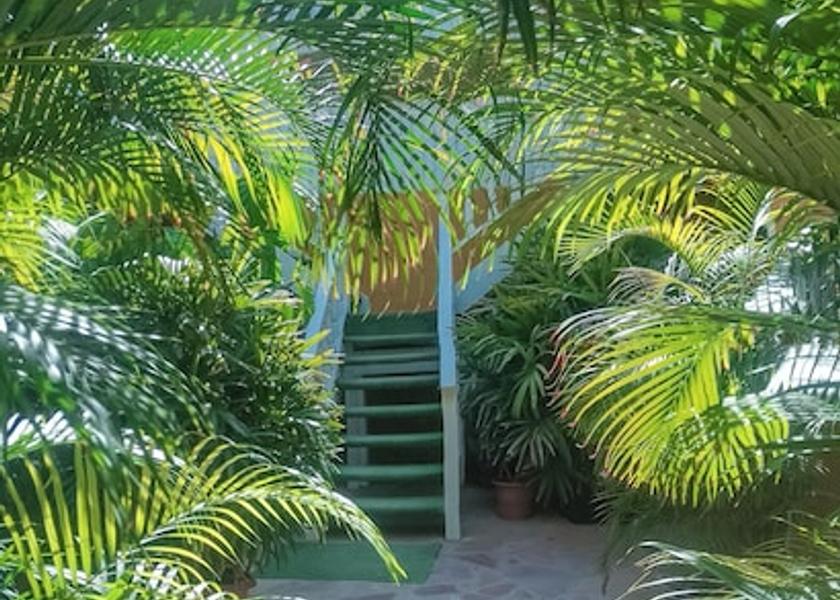 Piura Region Máncora Interior