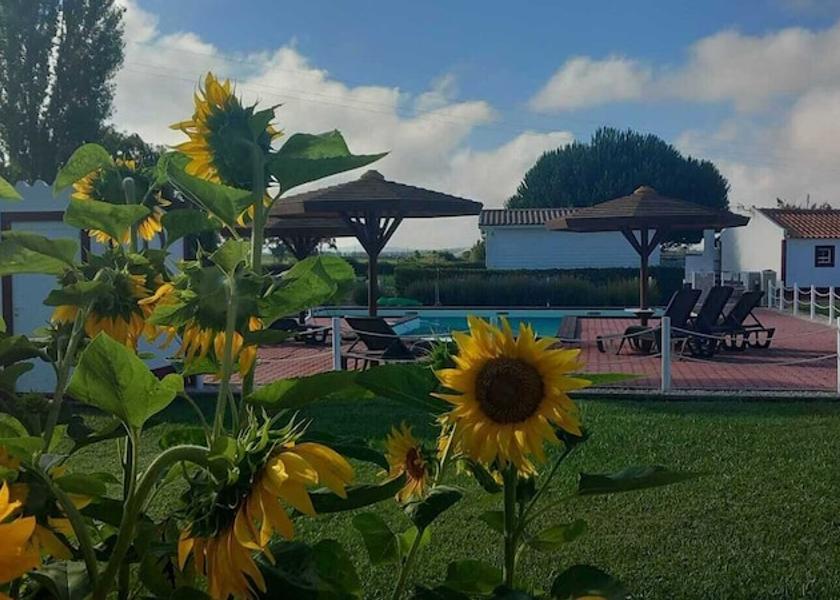 Beja Odemira Exterior