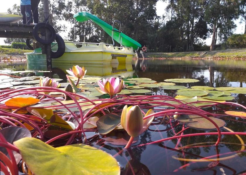 Beja Odemira Exterior detail
