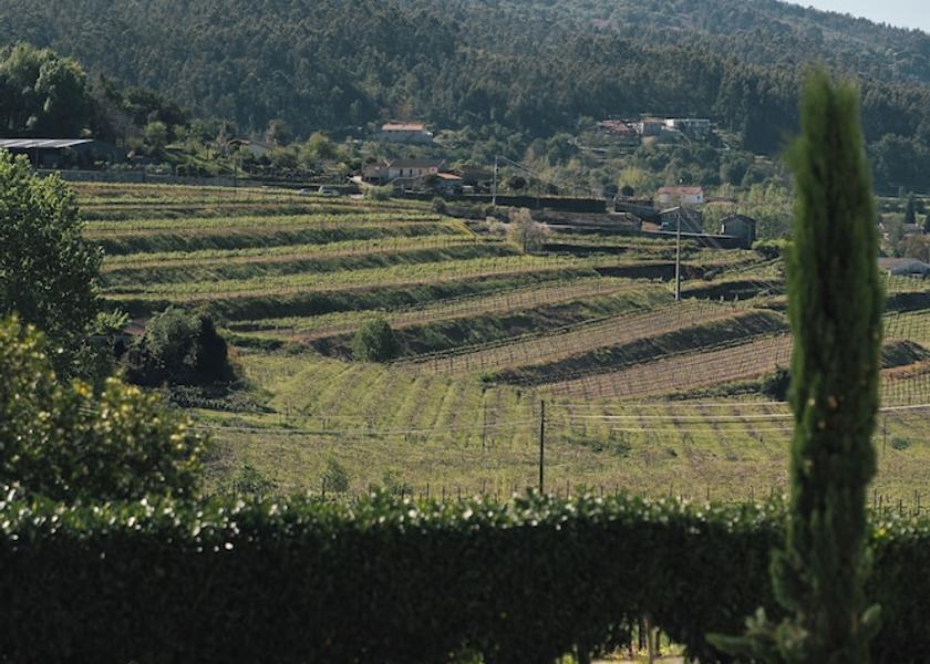 Braga Guimarães Exterior