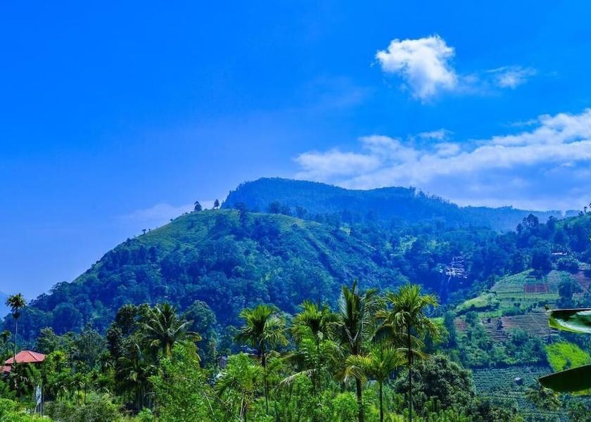 Uva Province Ella Miscellaneous