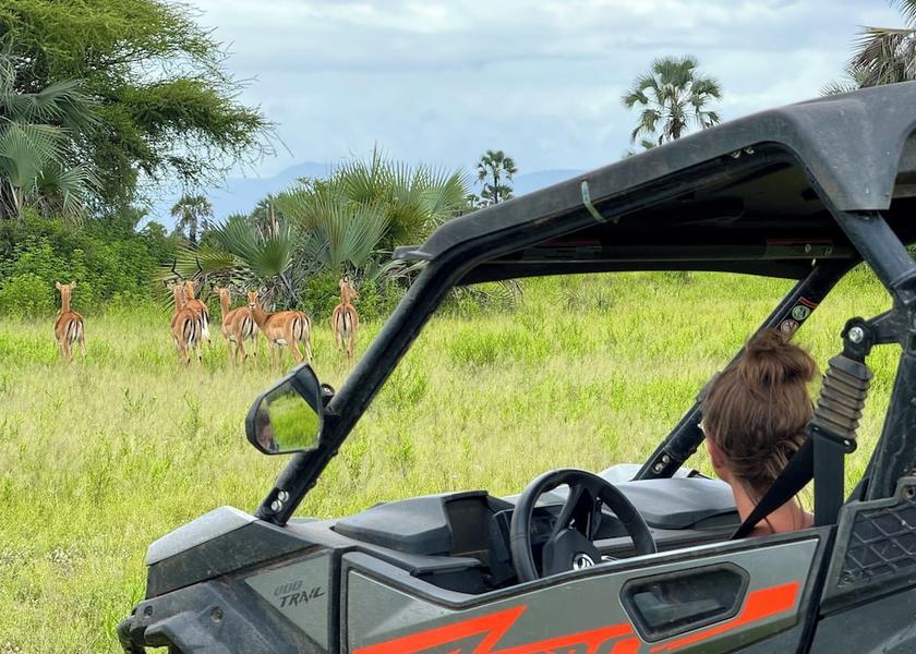 Manyara Region Tarangire National Park Exterior