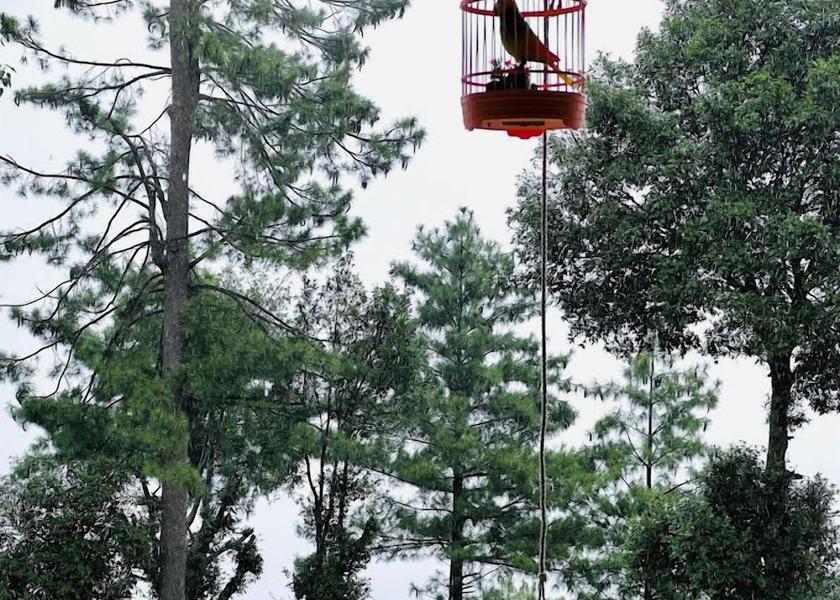 Punjab Murree Exterior