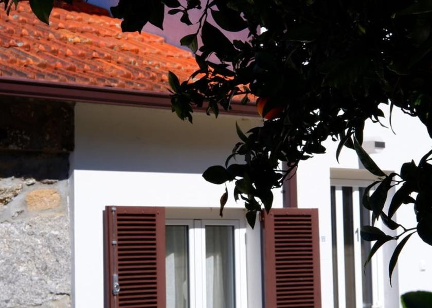 Viana do Castelo Paredes de Coura Exterior