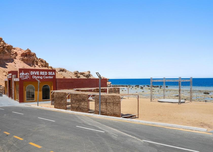 Surfing/boogie boarding