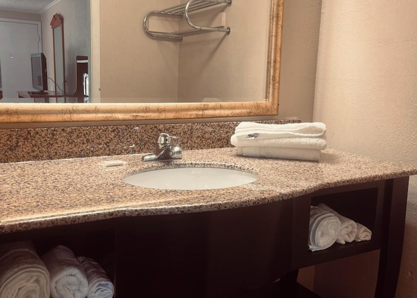Michigan Monroe Bathroom