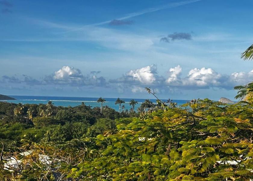 Surrounding environment