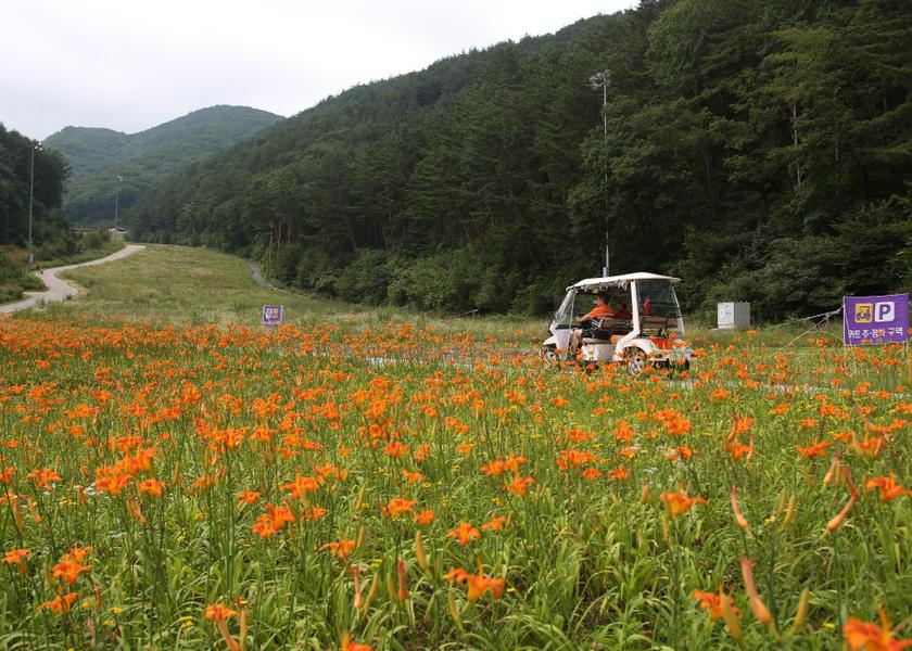 Gangwon Jeongseon 