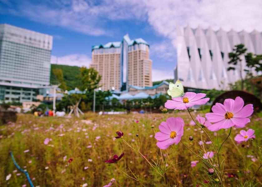 Gangwon Jeongseon 