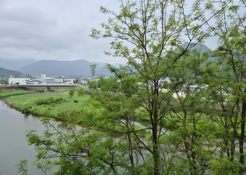 North Gyeongsang Gyeongsan 