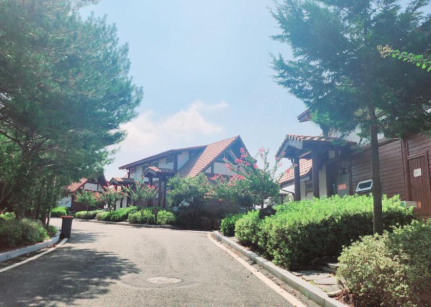 South Jeolla Boseong Lobby