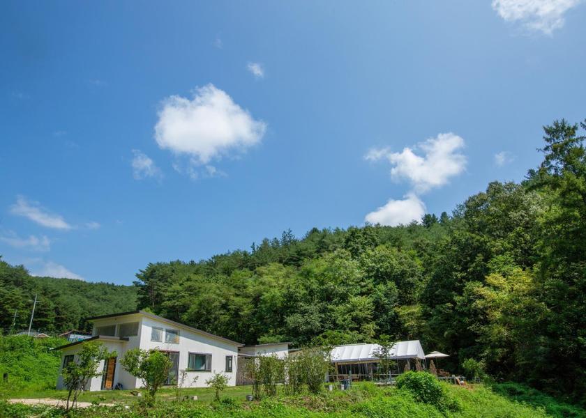 North Gyeongsang Andong 