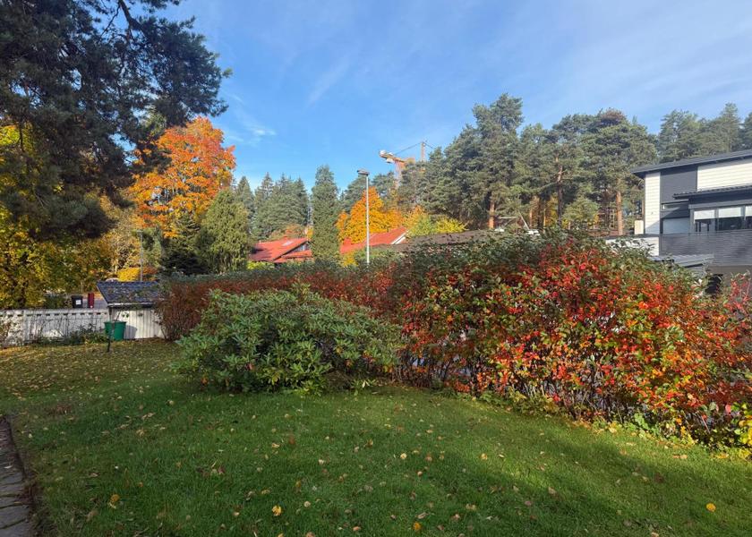 Surrounding environment