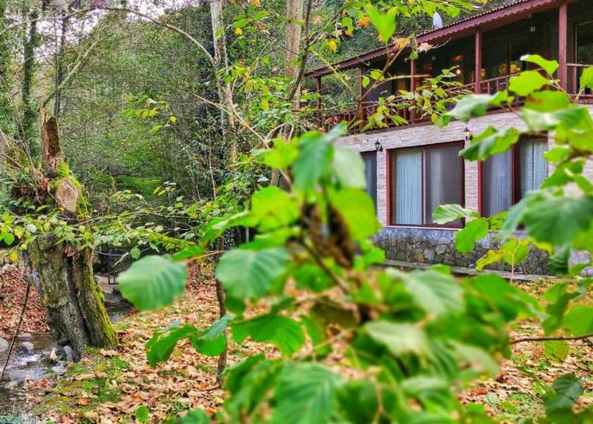 Surrounding environment