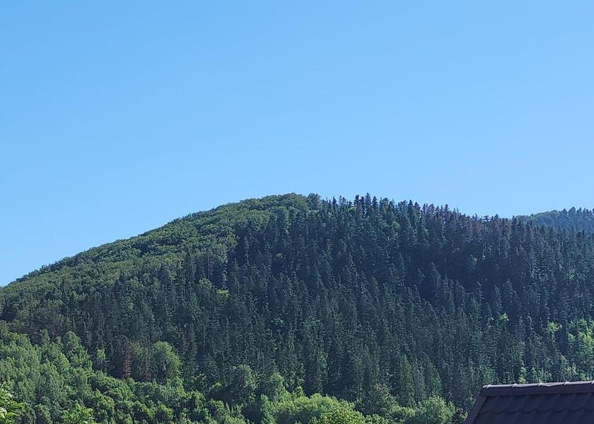 Suceava County Marginea 