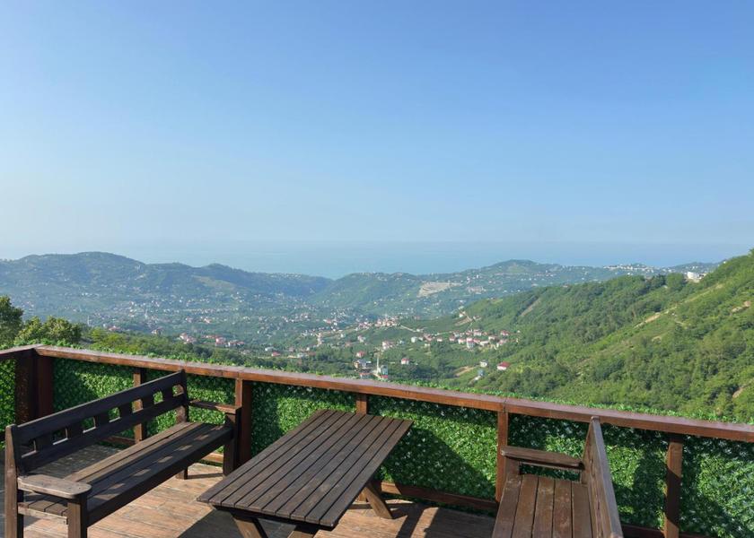 Surrounding environment