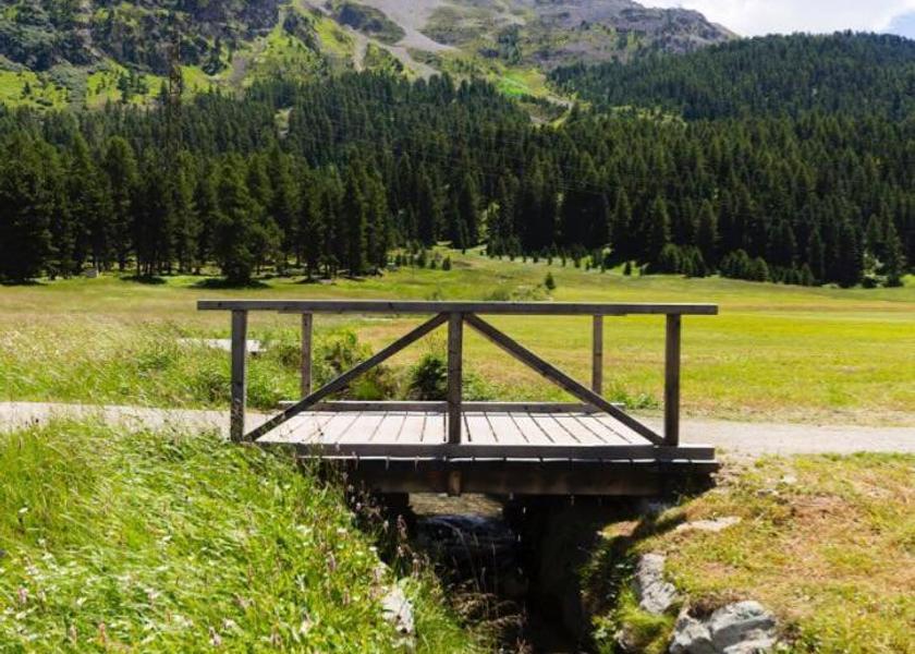 Surrounding environment