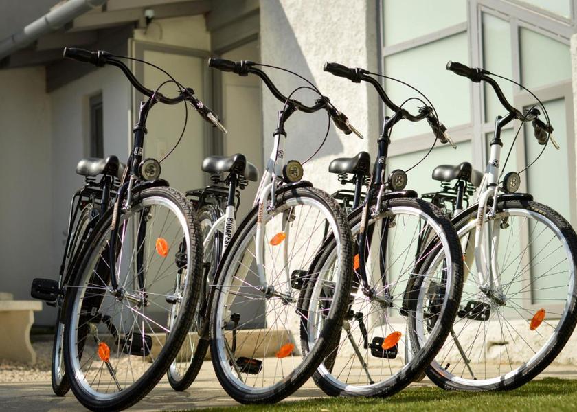 Sports and activities