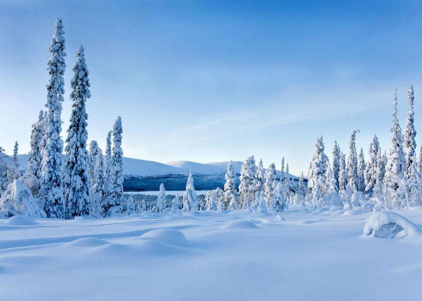 Surrounding environment