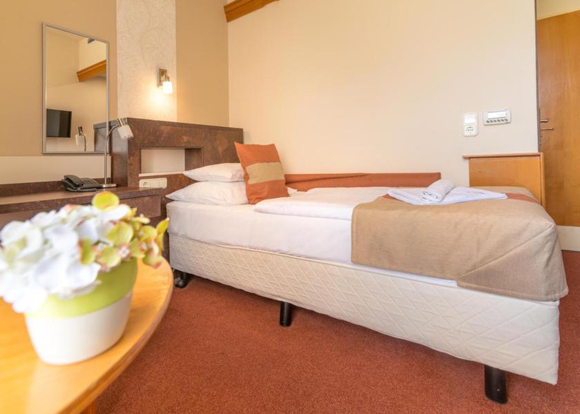 Zala County Hévíz Classic Single Room with Lake View