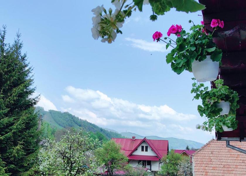 Brașov County Bran 