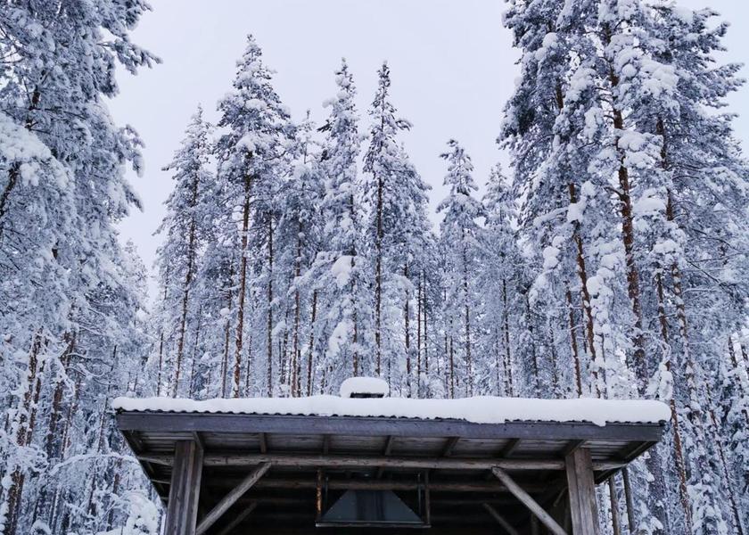 Surrounding environment