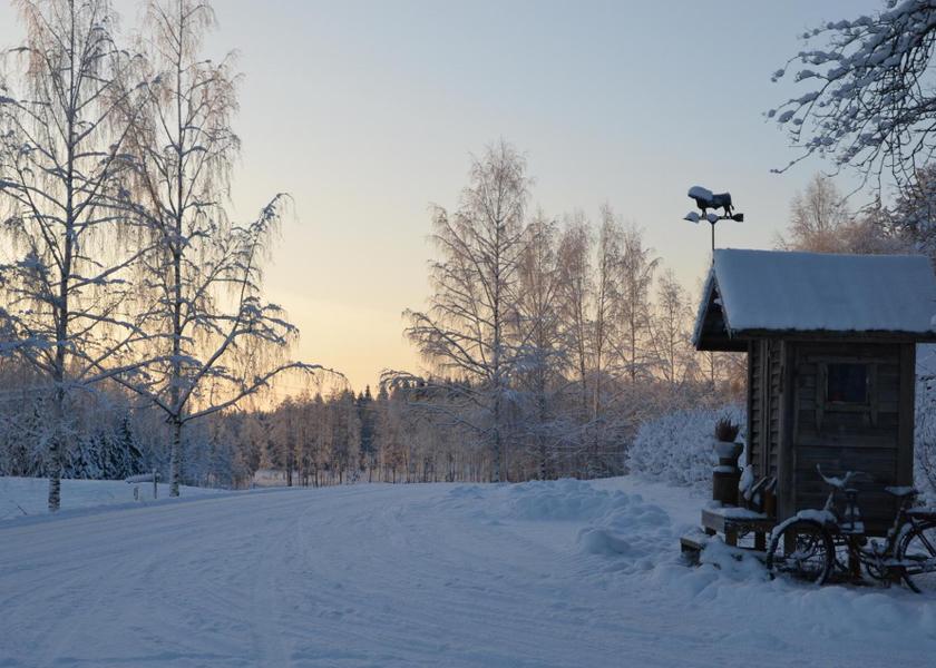 Surrounding environment