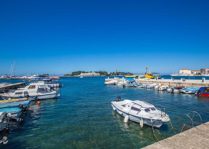 Surrounding environment