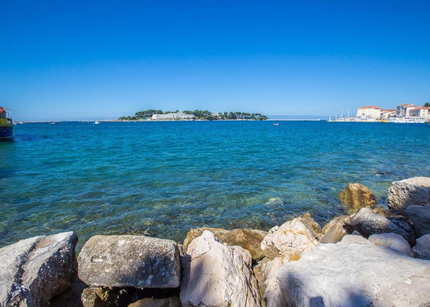 Surrounding environment