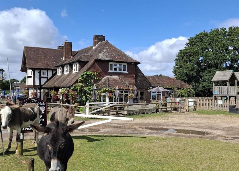 England Fordingbridge 
