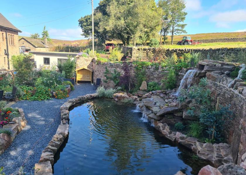 Surrounding environment