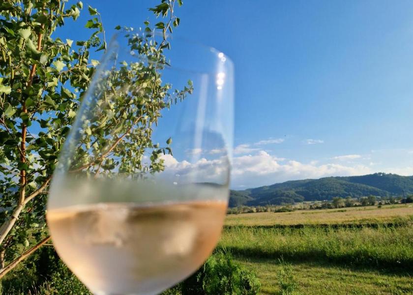 Surrounding environment