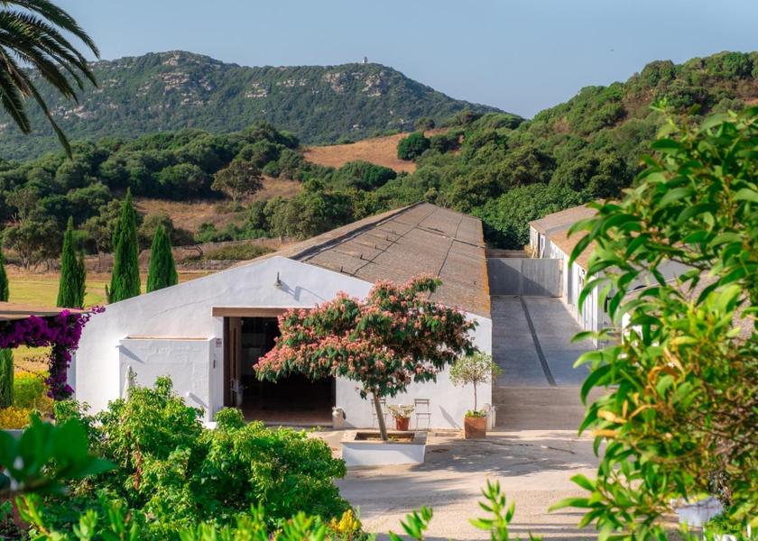 Balearic Islands Ferreries Shops