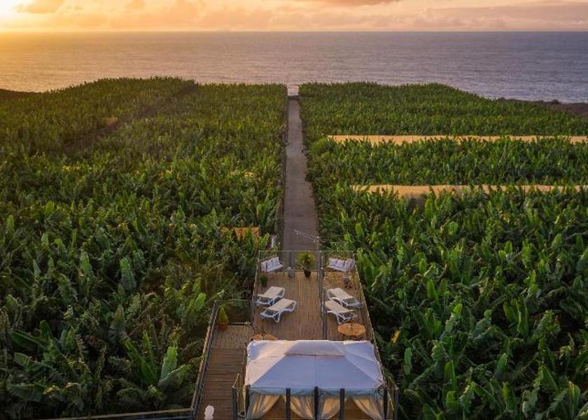 Canary Islands Buenavista del Norte Garden