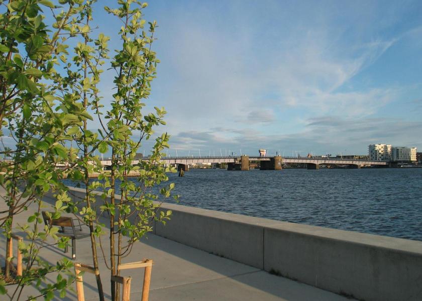 Surrounding environment