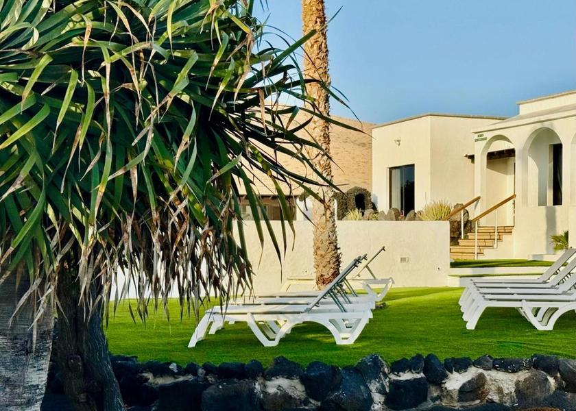 Canary Islands Teguise Garden