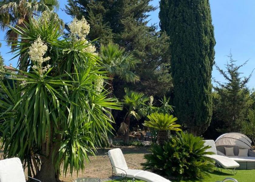 Provence-Alpes-Côte d'Azur Mougins View