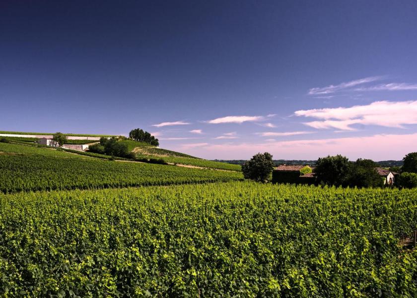 Nouvelle-Aquitaine Saint-Émilion Exterior view