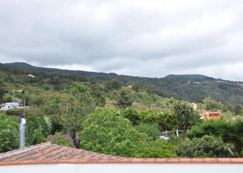 Canary Islands Icod de los Vinos Surrounding environment