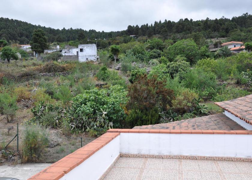 Canary Islands Icod de los Vinos Surrounding environment