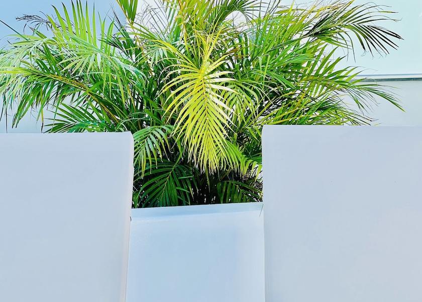 Canary Islands Tías Exterior
