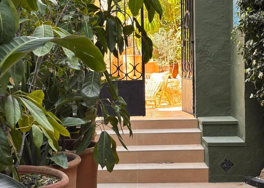 Valencian Community Jalon Garden