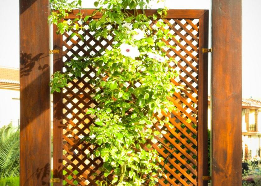 Andalusia Cullar Vega Balcony/terrace