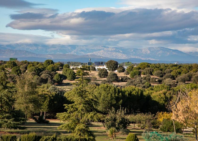 Community of Madrid Pozuelo de Alarcon 