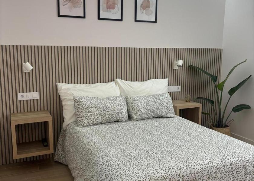 Canary Islands Aguimes Standard Studio