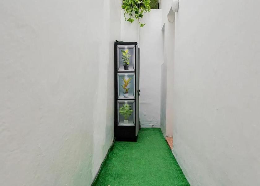 Canary Islands Santa Cruz de Tenerife Facilities
