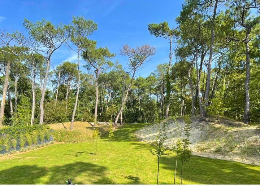 Surrounding environment