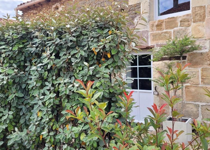 Pays de la Loire Doué-en-Anjou Garden