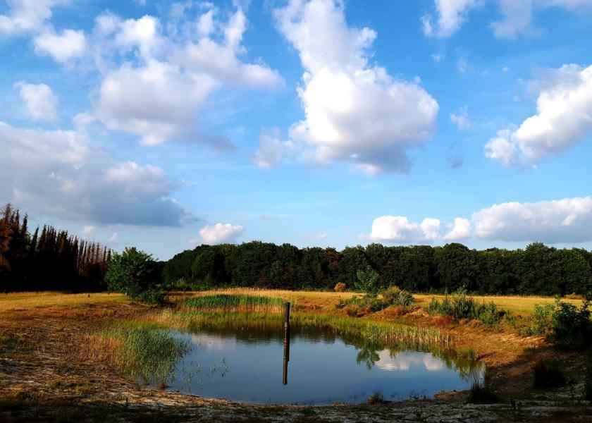 Surrounding environment